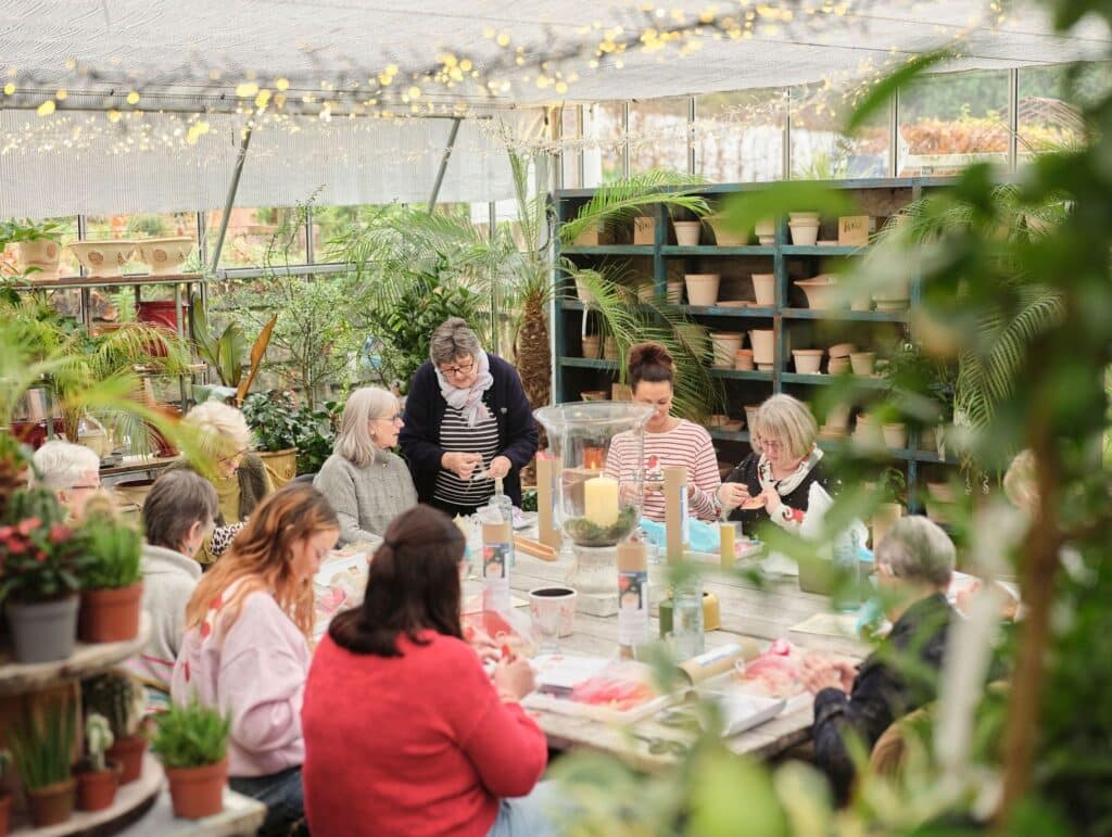 LilyBoo workshops
